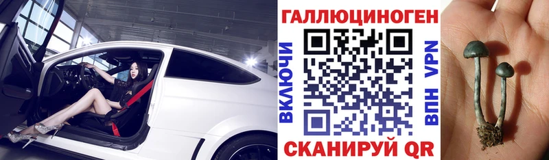 Псилоцибиновые грибы прущие грибы  нарко площадка какой сайт  Лагань 